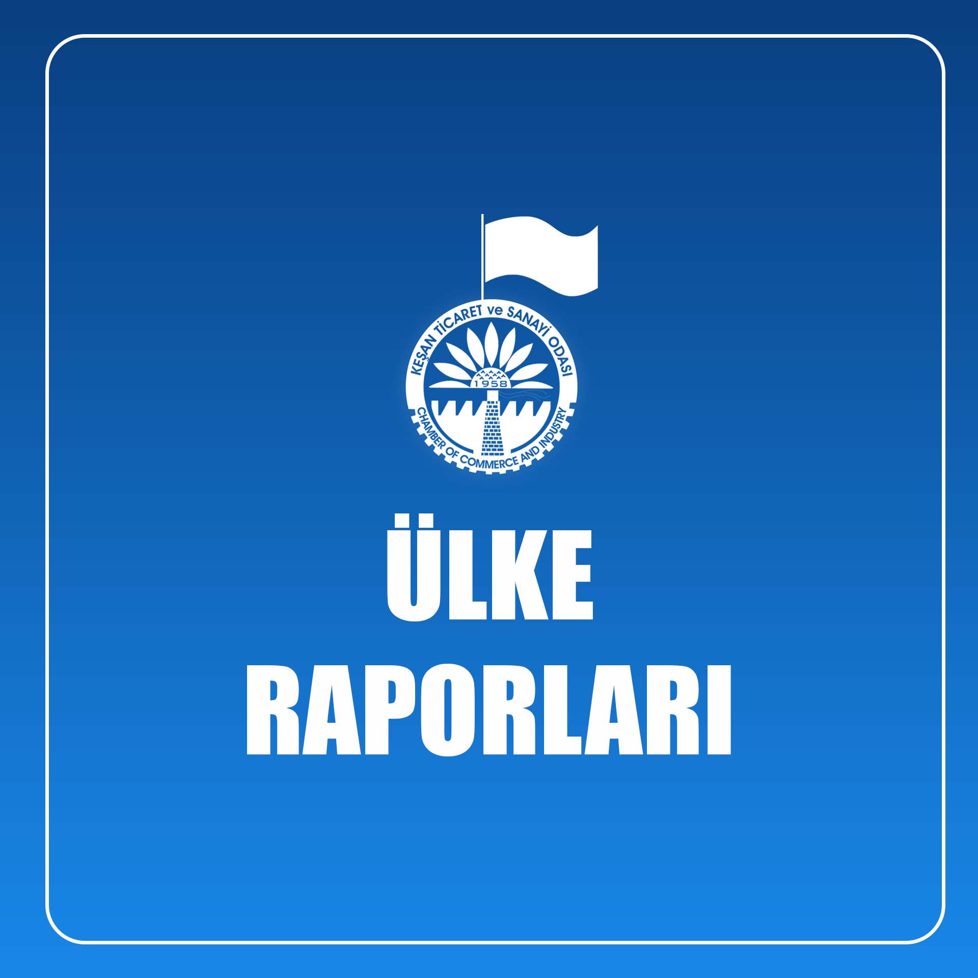 ÜLKE-RAPORLARI